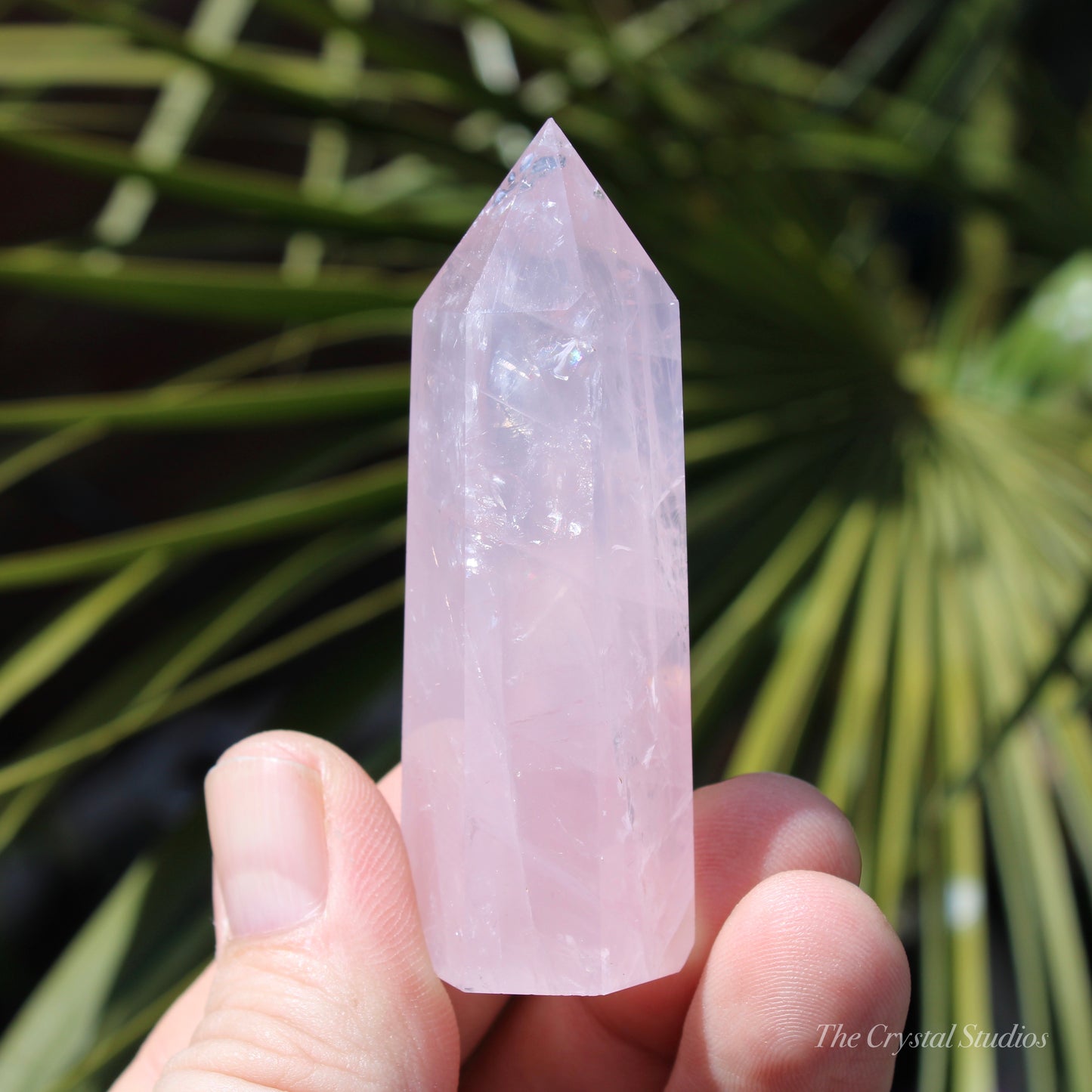 Rose Quartz Small Polished Point