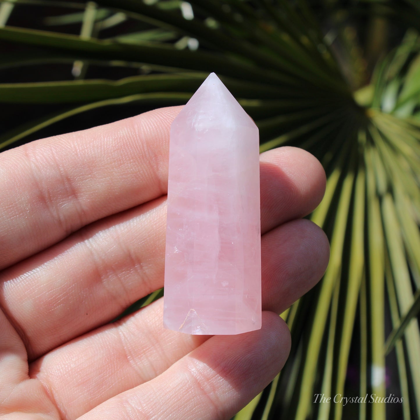 Rose Quartz Small Polished Point