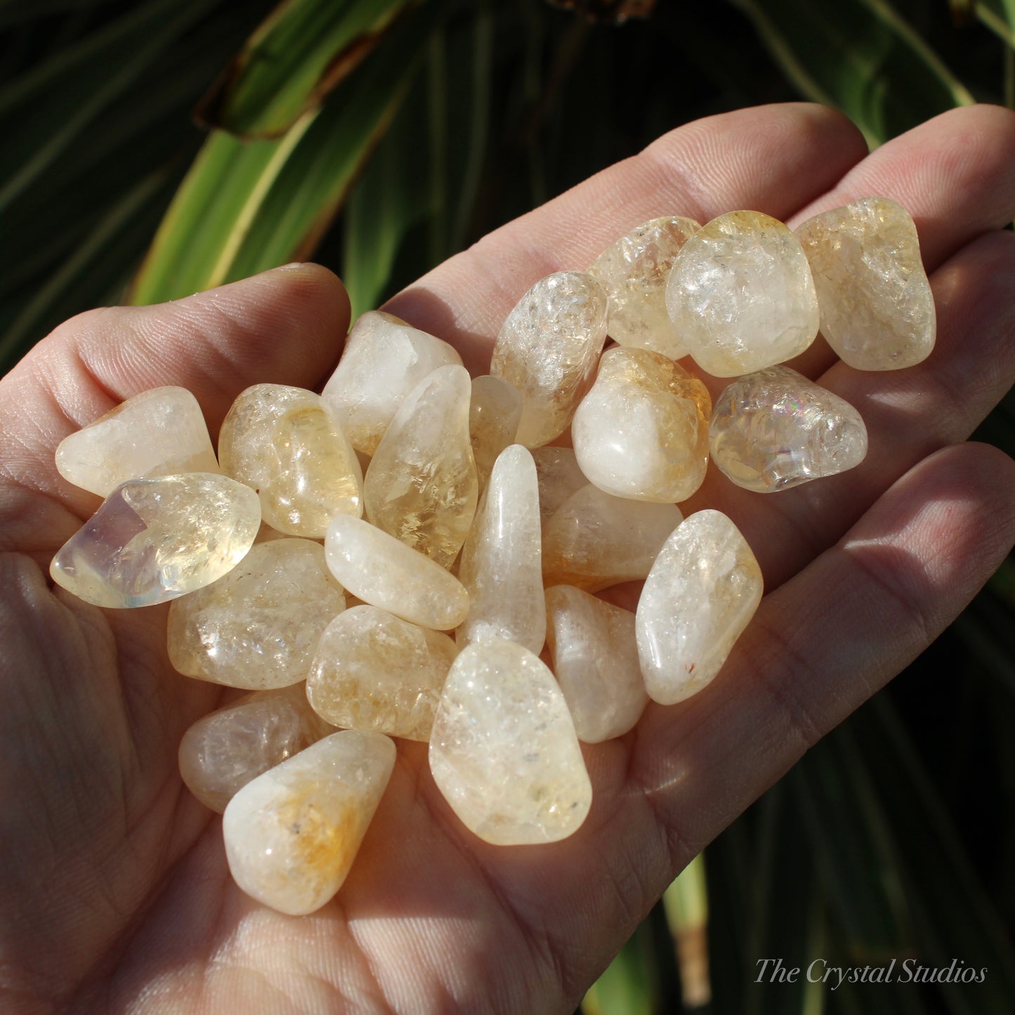 Citrine (Heat Treated) Polished Crystal Medium Tumblestones