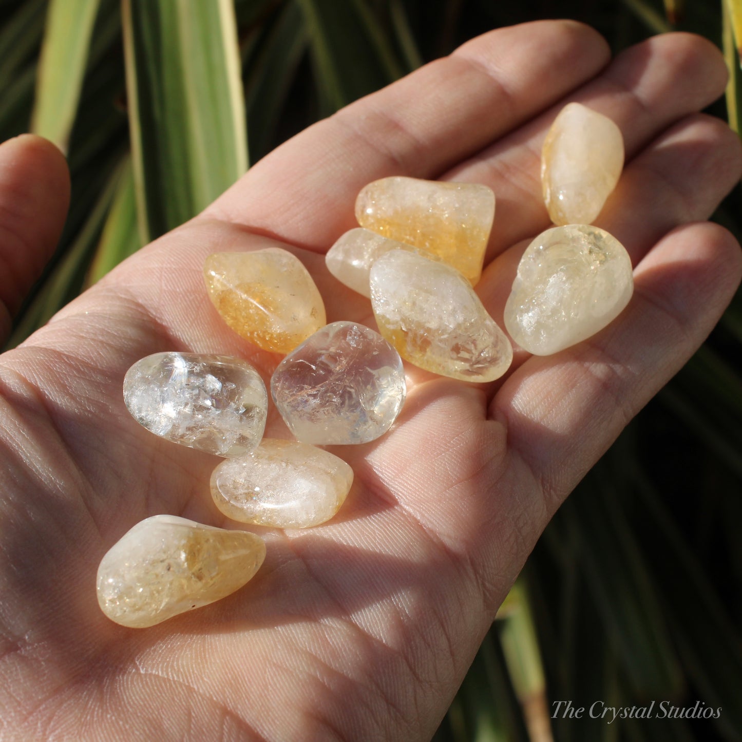 Citrine (Heat Treated) Polished Crystal Medium Tumblestones