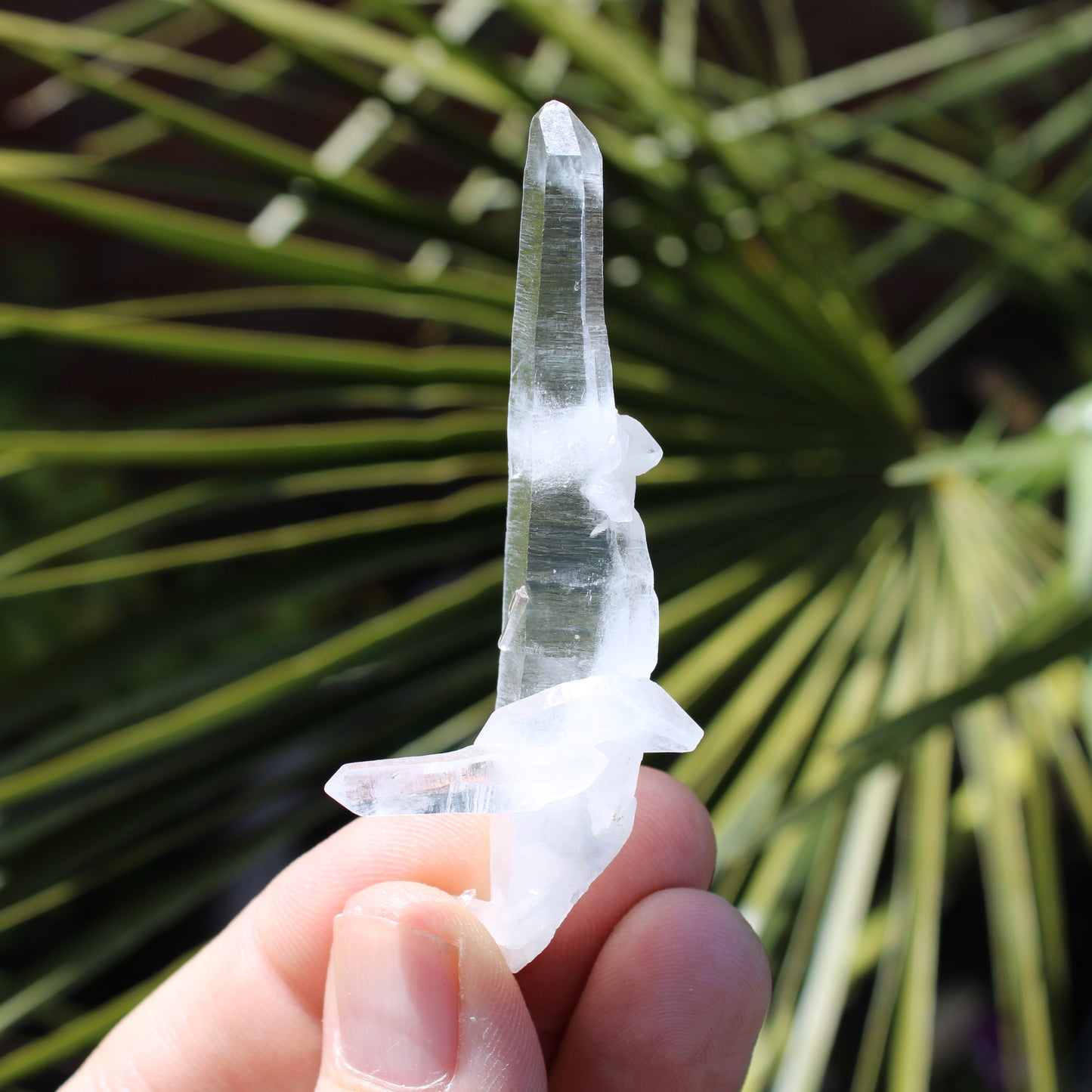 Lemurian Quartz Small Natural Point