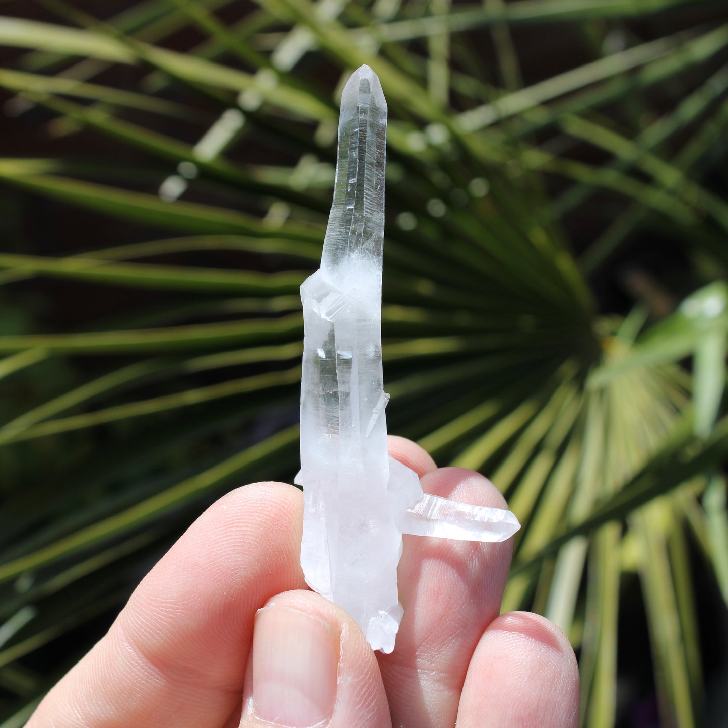 Lemurian Quartz Small Natural Point