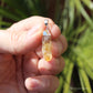 Citrine Natural Point Pendant