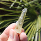 Citrine Small Natural Crystal Point