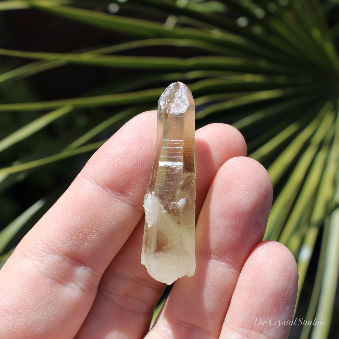 Citrine Small Natural Crystal Point