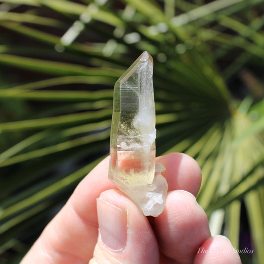 Citrine Small Natural Crystal Point