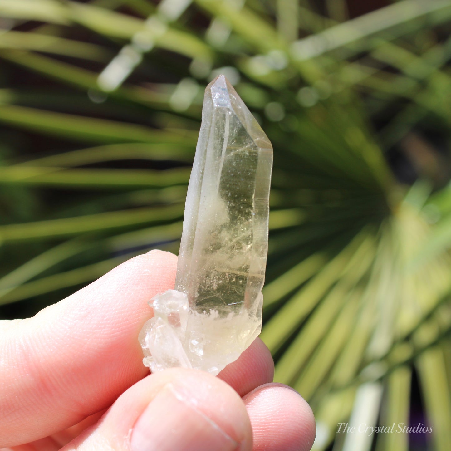 Citrine Small Natural Crystal Point