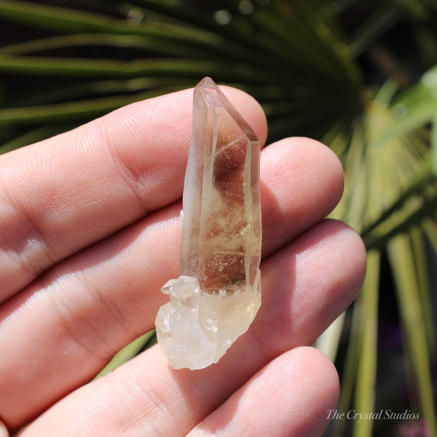 Citrine Small Natural Crystal Point