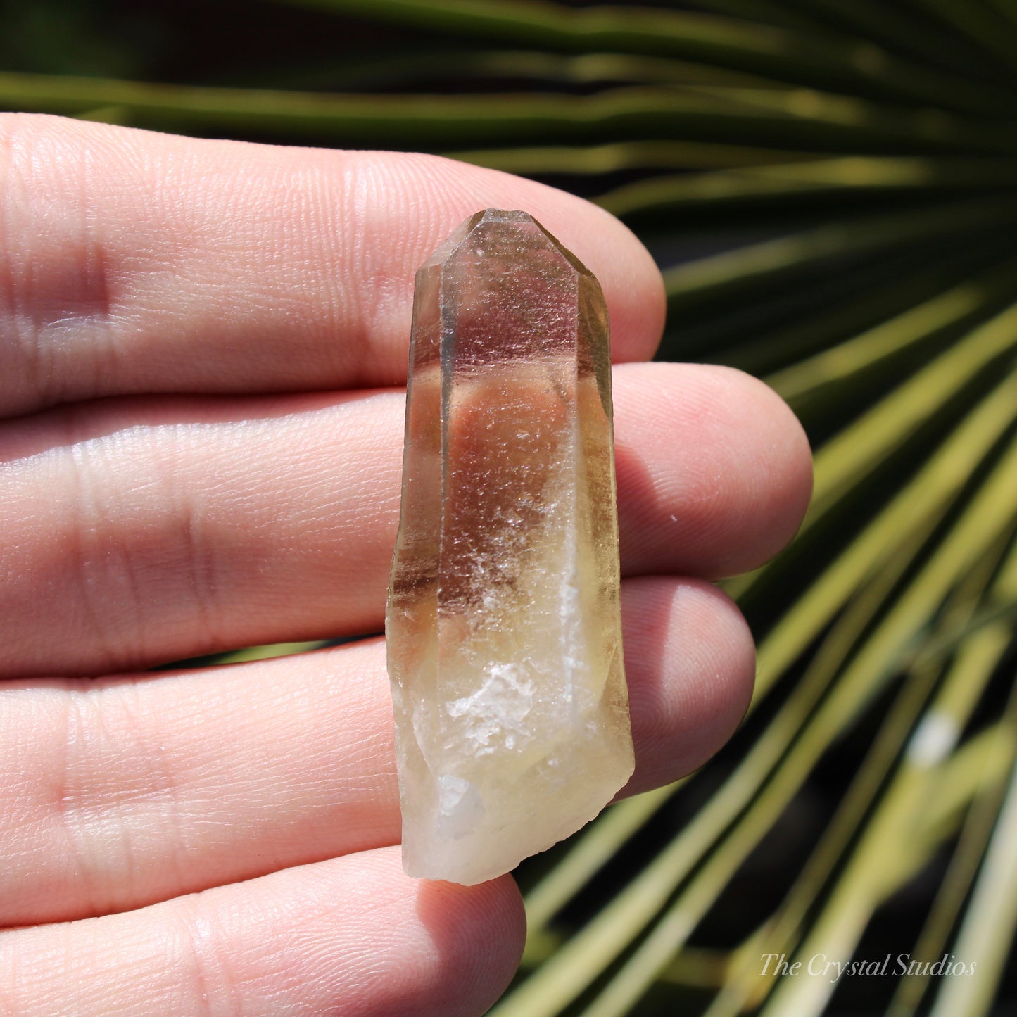 Citrine Small Natural Crystal Point