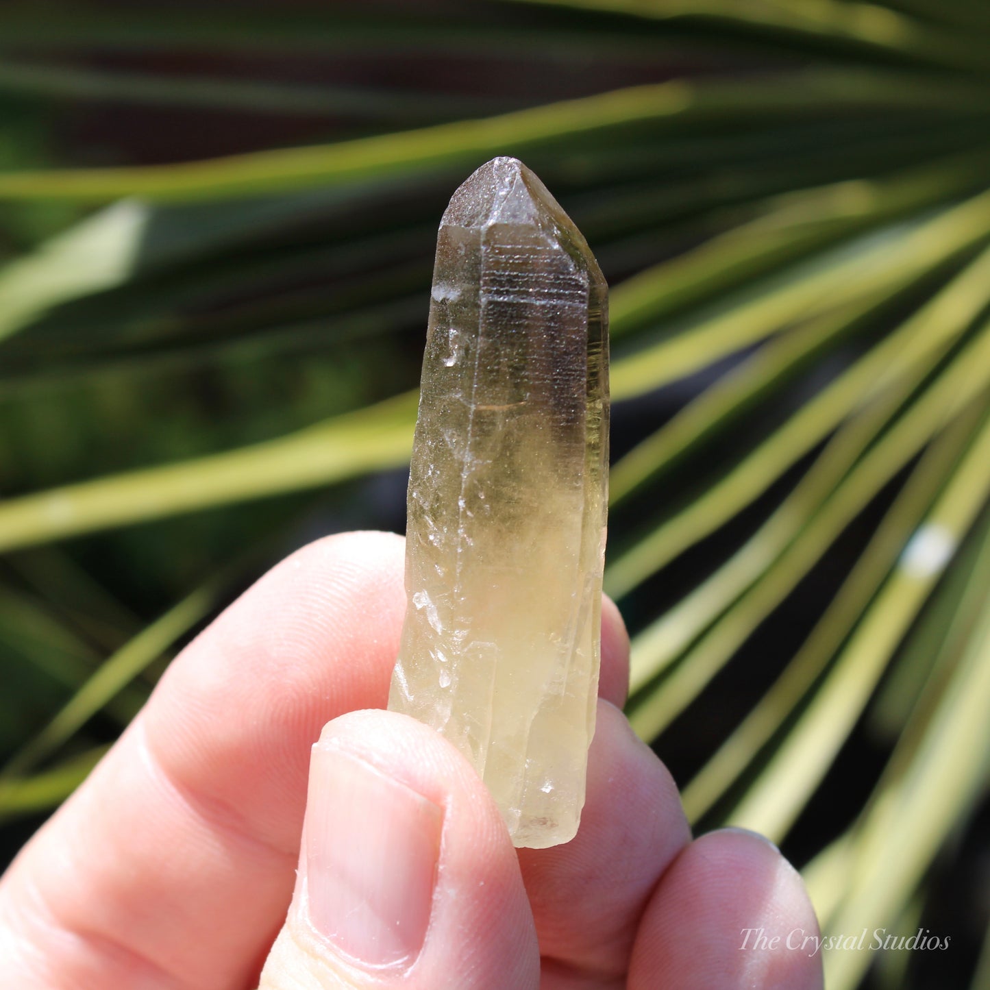 Citrine Small Natural Crystal Point