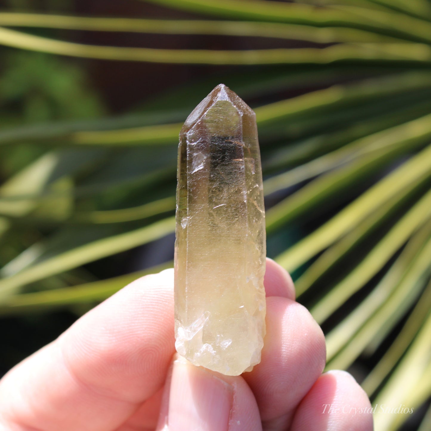 Citrine Small Natural Crystal Point