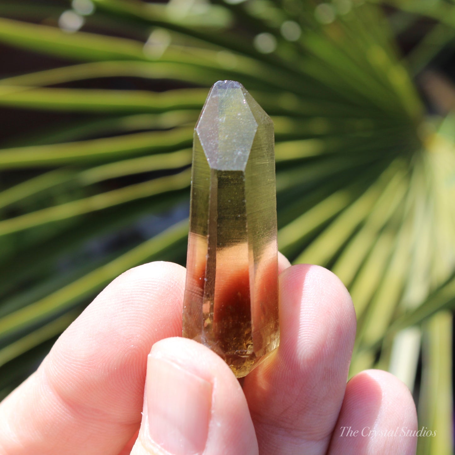 Citrine Small Natural Crystal Point