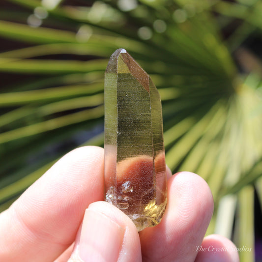 Citrine Small Natural Crystal Point