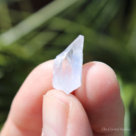 Dumortierite in Quartz Natural Crystal