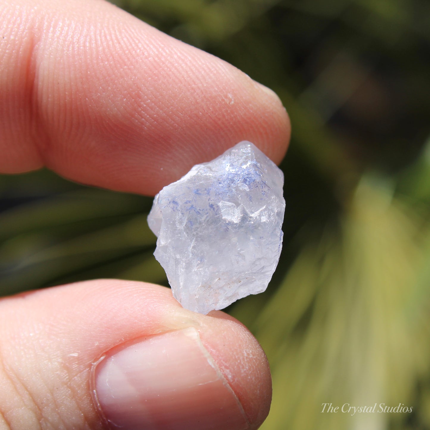 Dumortierite in Quartz Natural Crystal