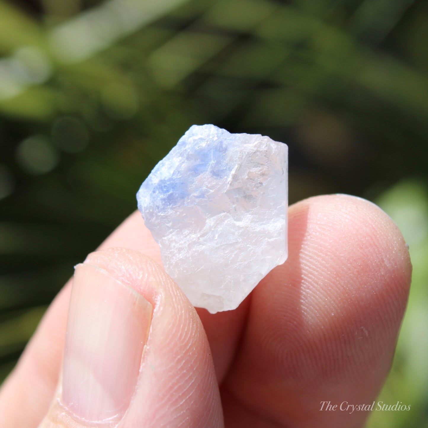 Dumortierite in Quartz Natural Crystal