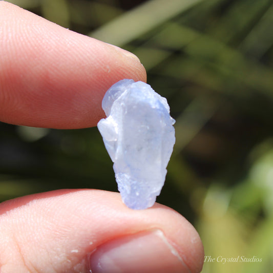 Dumortierite in Quartz Natural Crystal