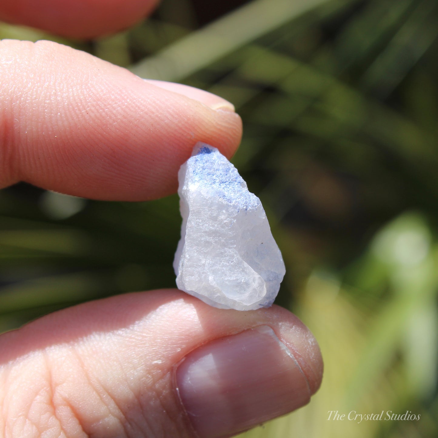 Dumortierite in Quartz Natural Crystal