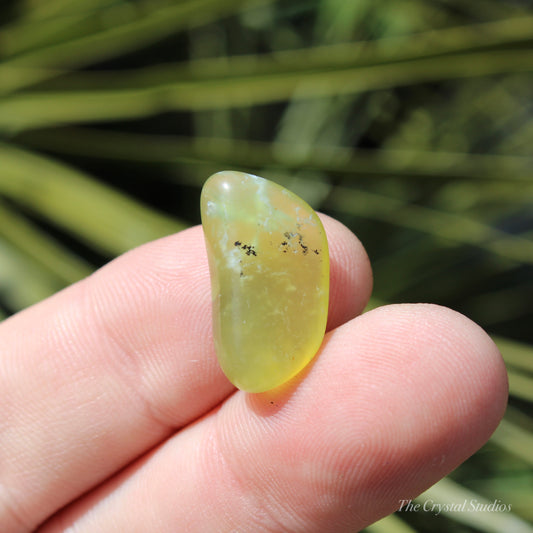 Rosella Opalite Polished Crystal Tumblestone