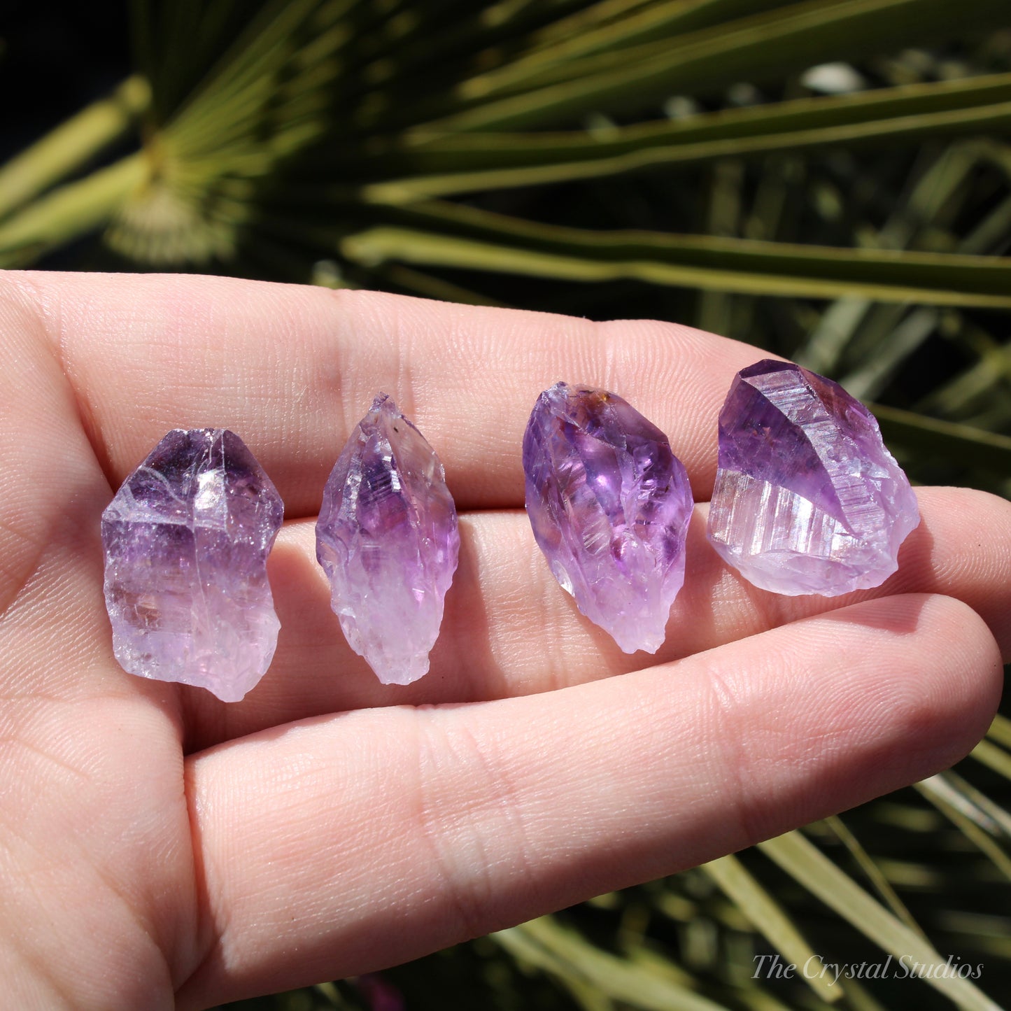 Amethyst Small Natural Crystal Points