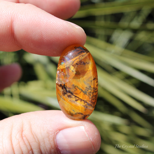 Dendritic Quartz Polished Crystal