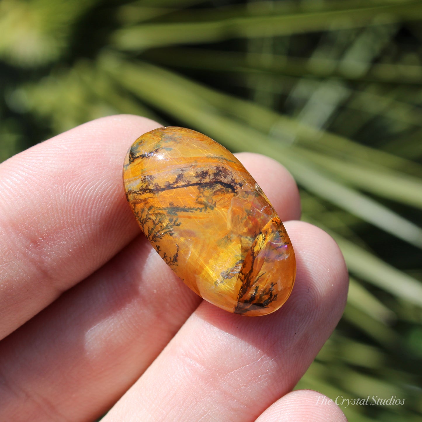 Dendritic Quartz Polished Crystal