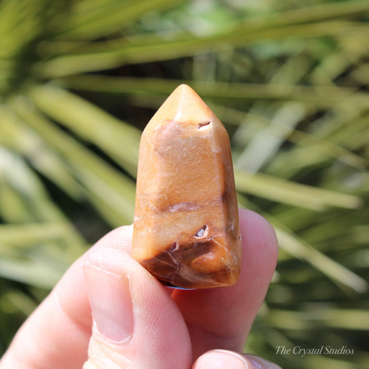 Garden Quartz Small Polished Crystal Point