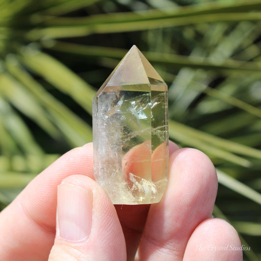 Citrine Small Polished Crystal Point