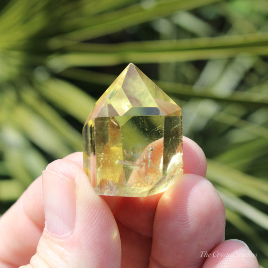 Citrine Small Polished Crystal Point