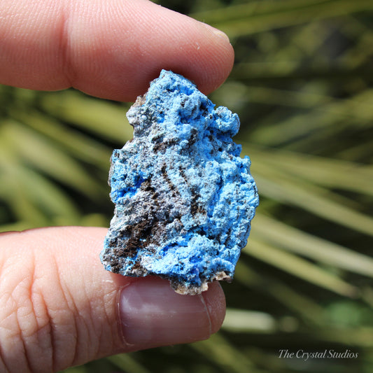 Cyanotrichite Natural Crystal