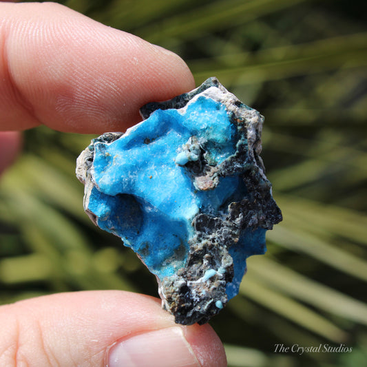 Cyanotrichite Natural Crystal