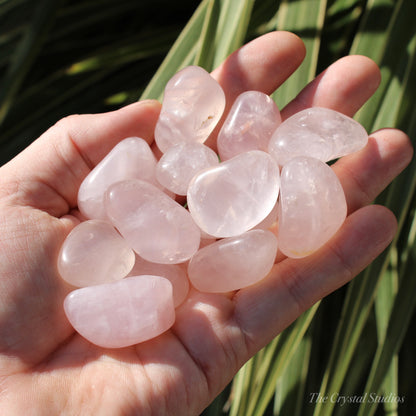 Rose Quartz Polished Crystal Tumblestones