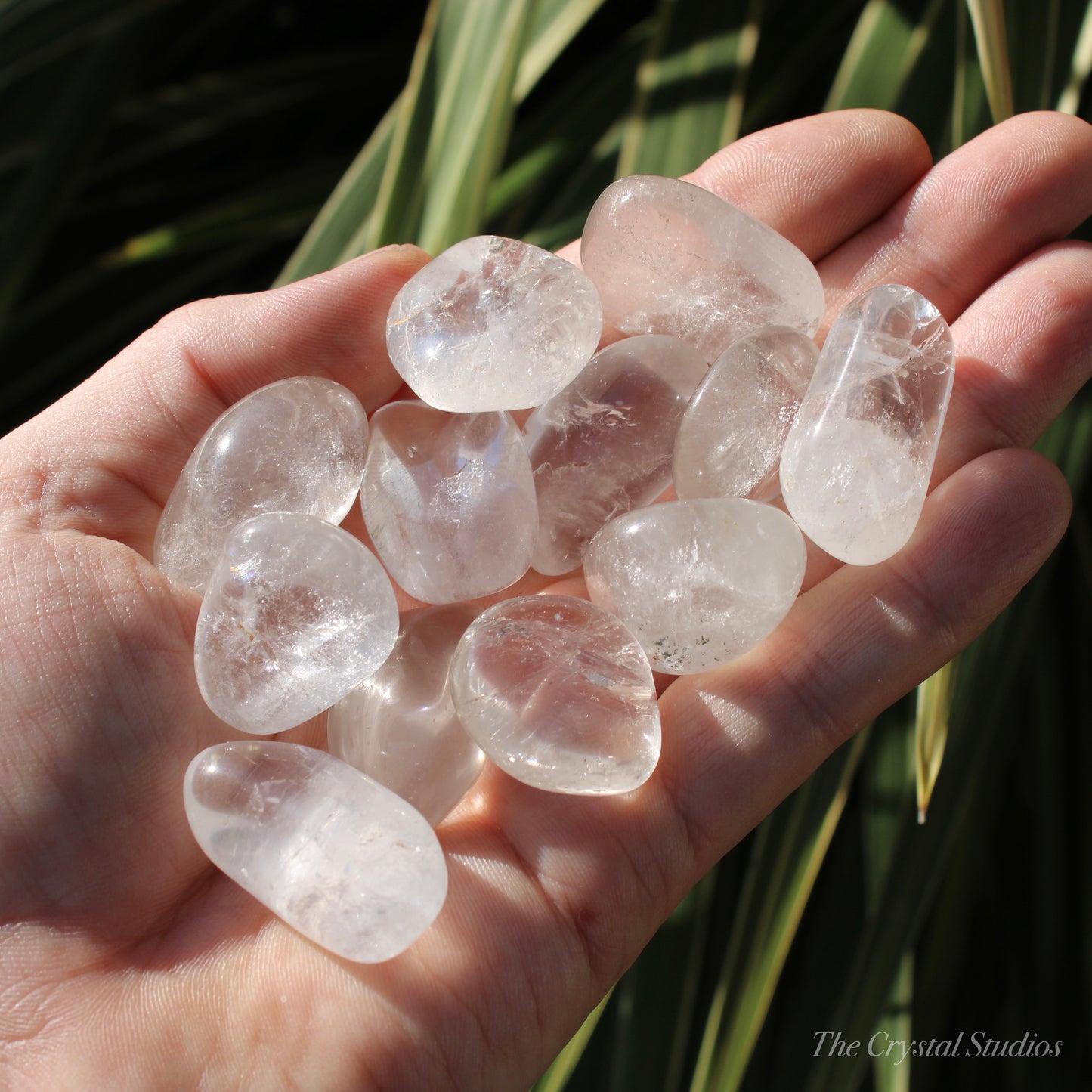 Clear Quartz Polished Crystal Tumblestones