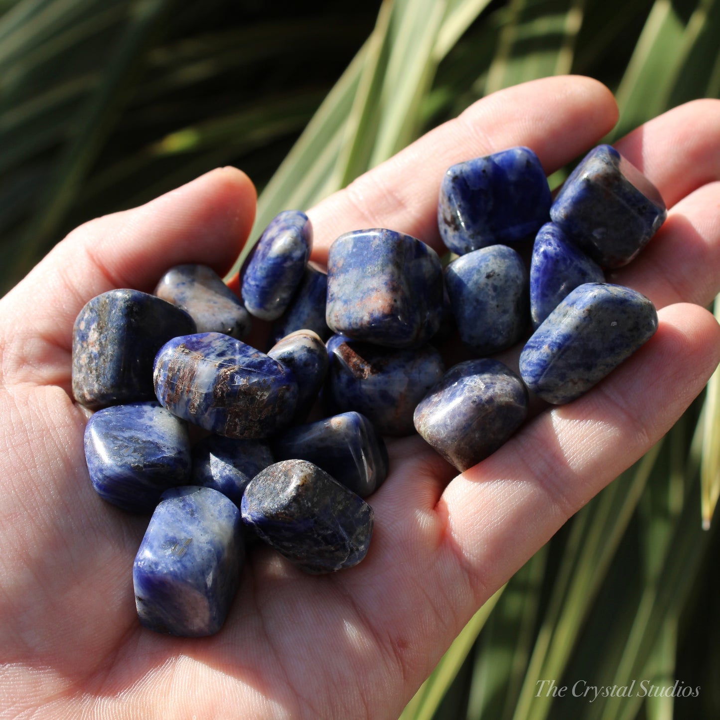 Sodalite Polished Crystal Tumblestones