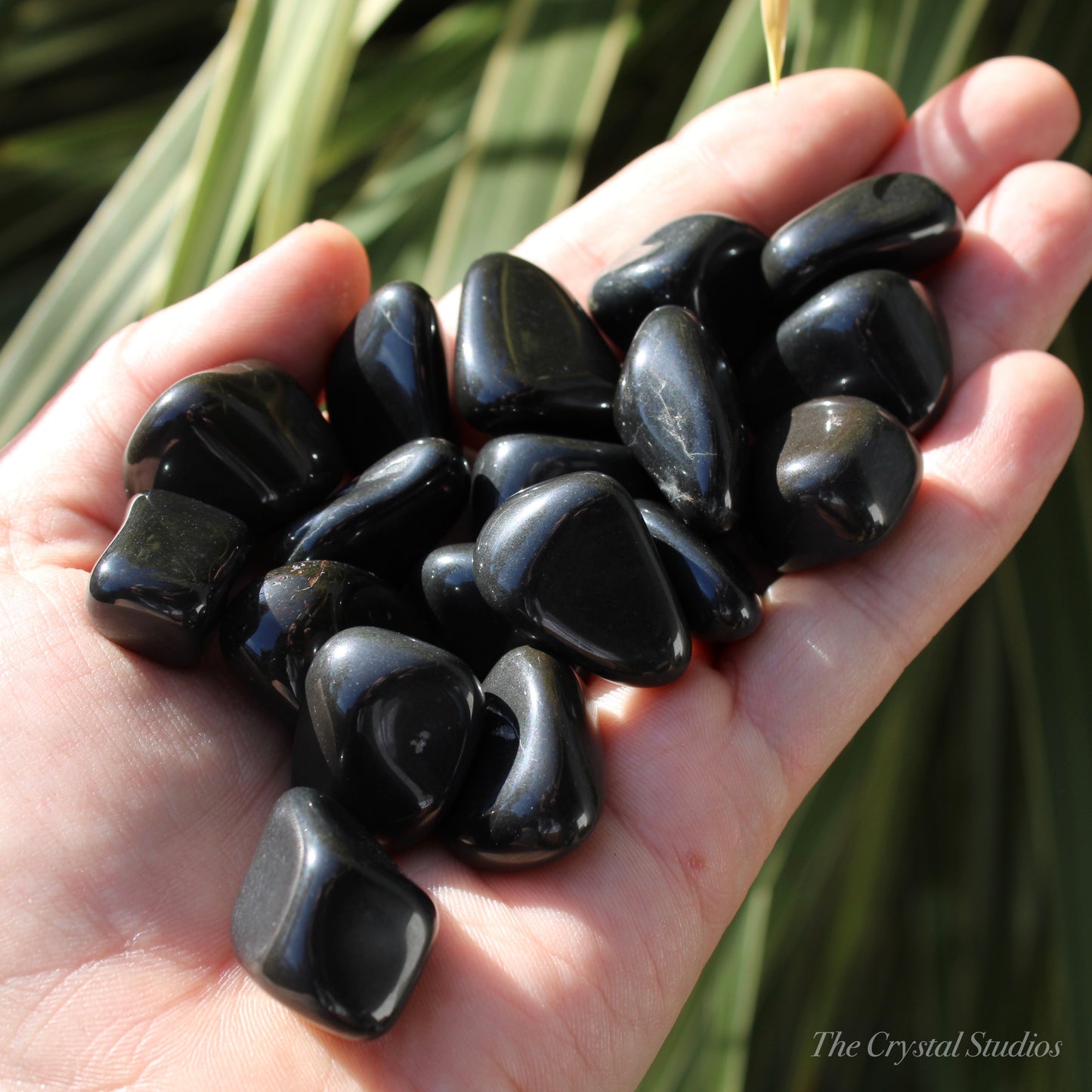 Black Onyx Polished Crystal Tumblestones