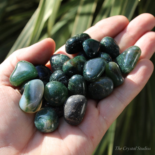 Moss Agate Polished Crystal Tumblestones