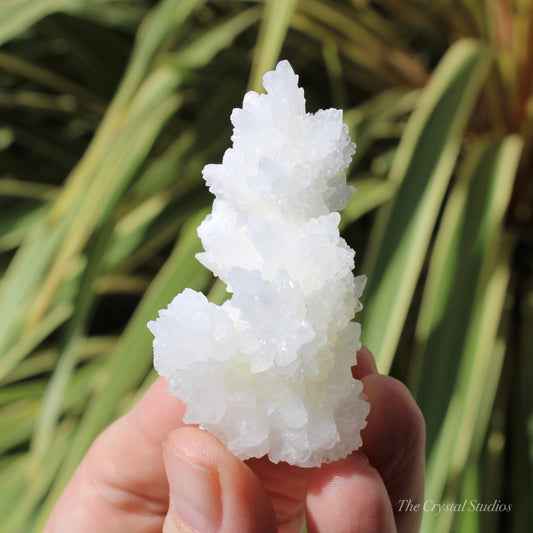 A+ White Aragonite Crystal Cluster