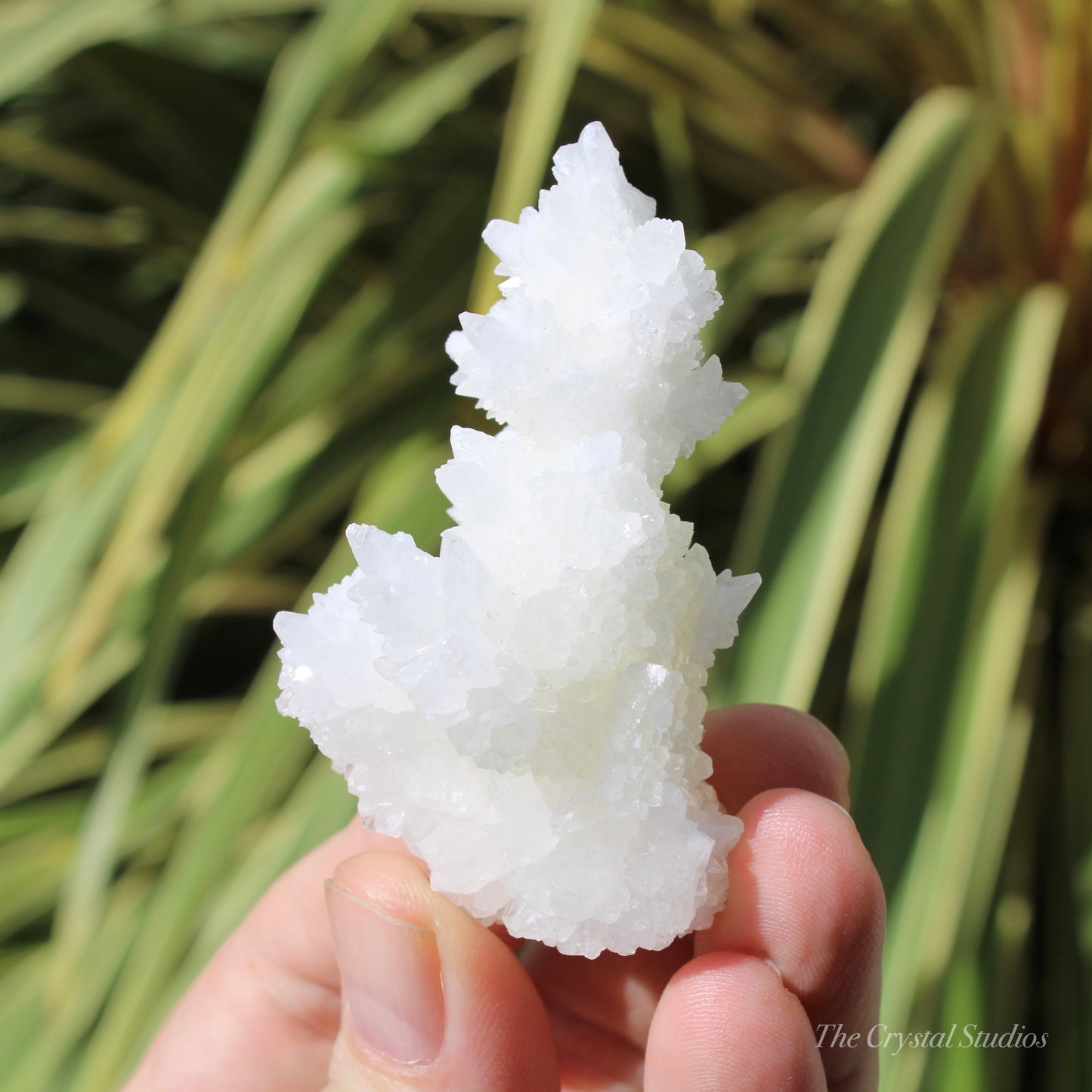 A+ White Aragonite Crystal Cluster