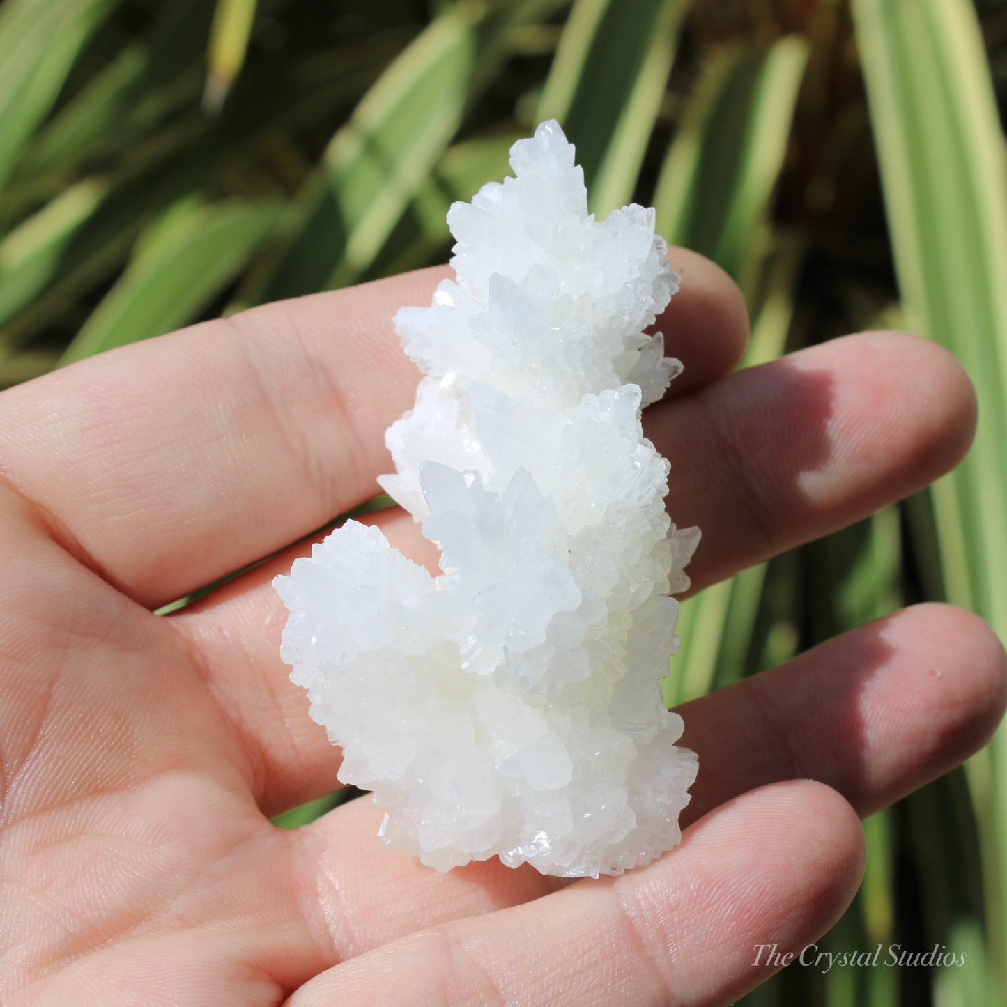 A+ White Aragonite Crystal Cluster