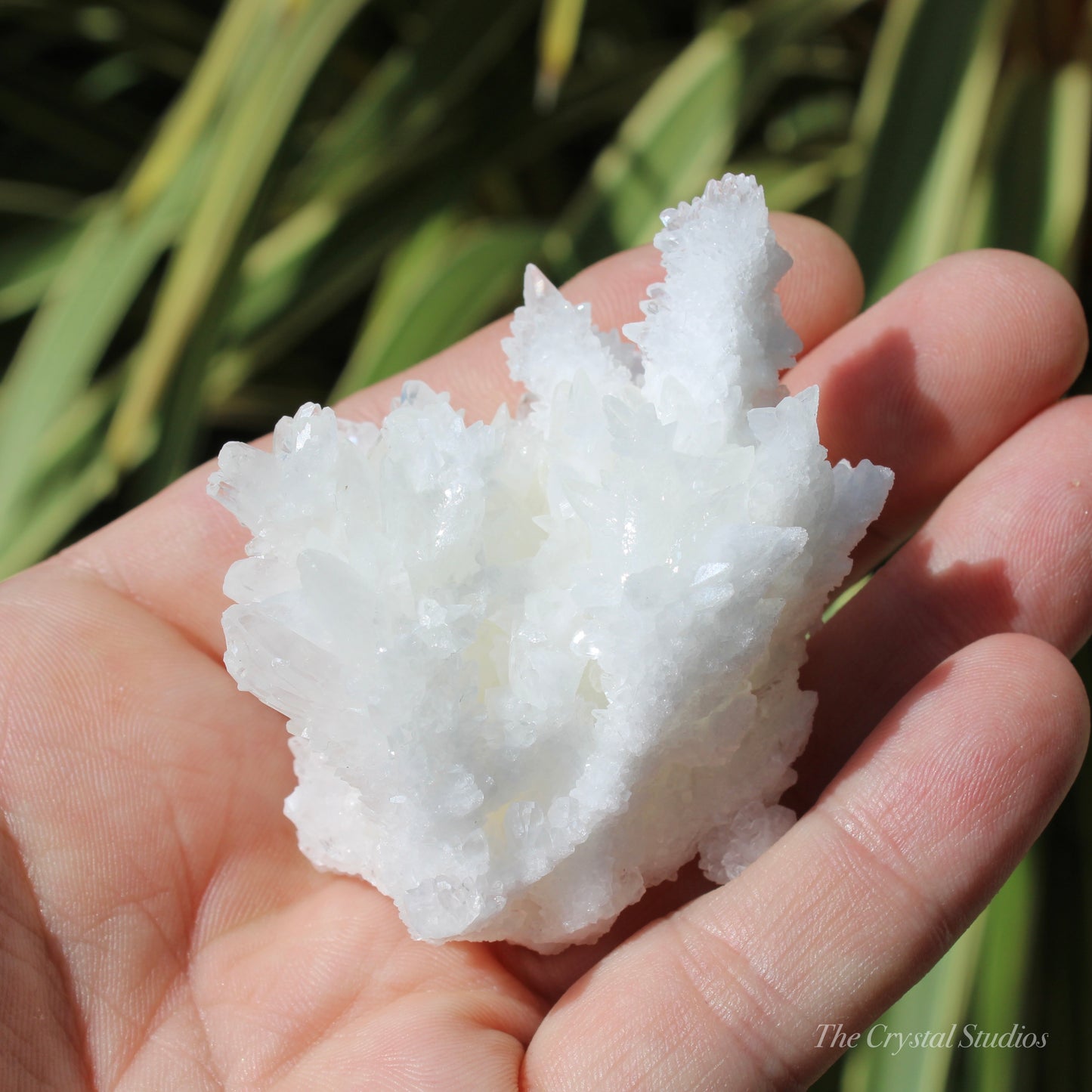 A+ White Aragonite Crystal Cluster