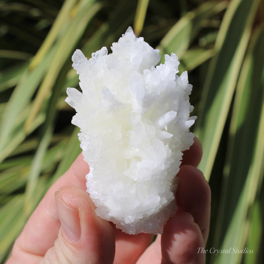 A+ White Aragonite Crystal Cluster