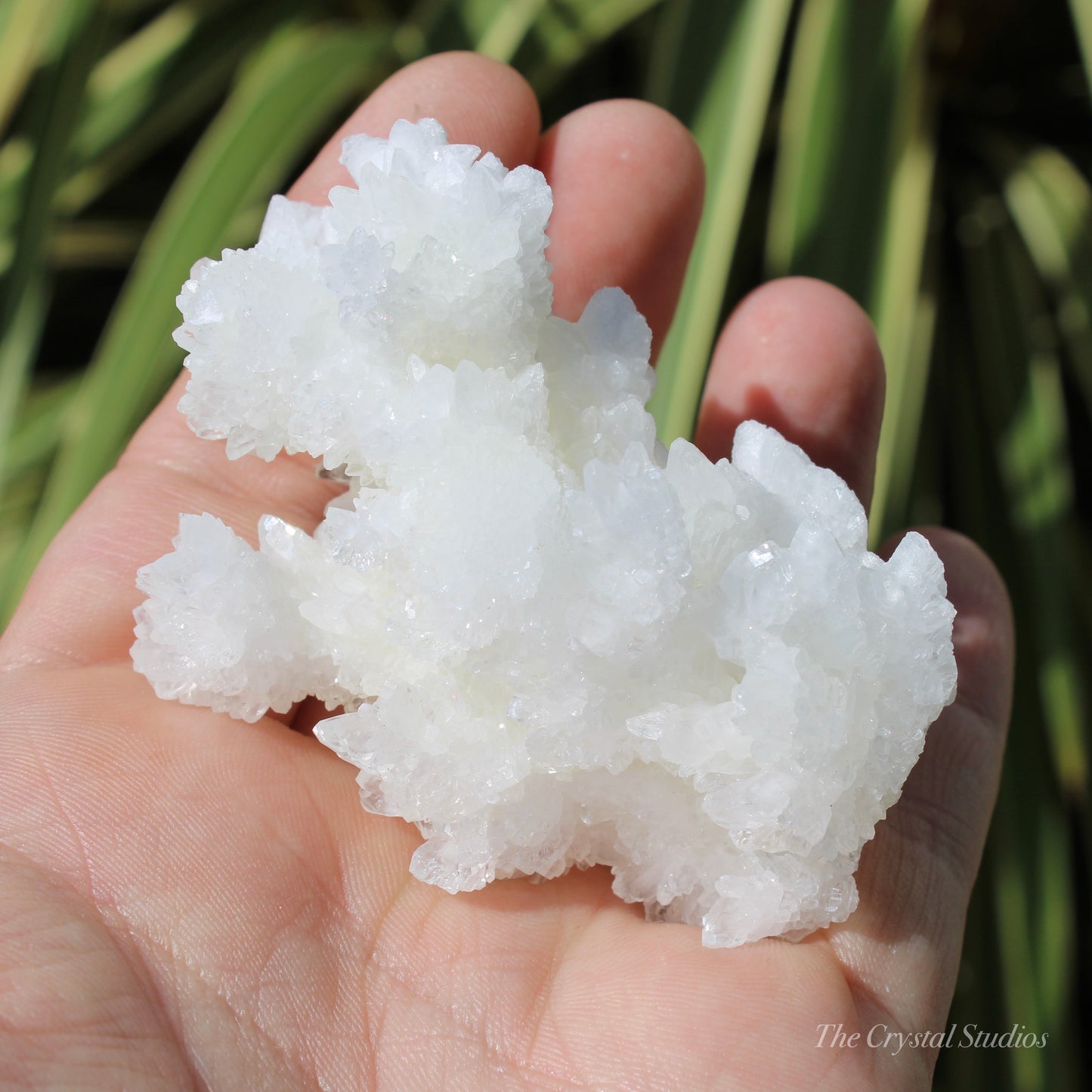 A+ White Aragonite Crystal Cluster