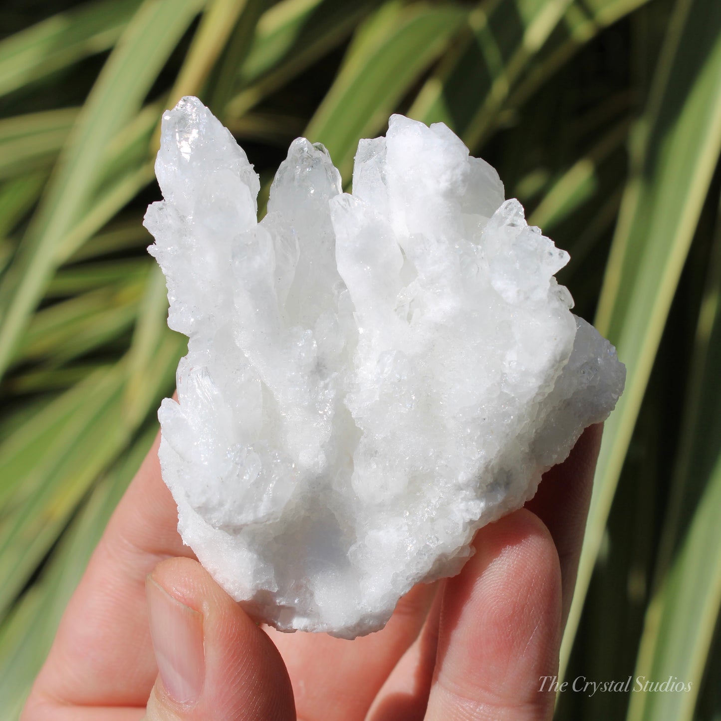 A+ White Aragonite Crystal Cluster