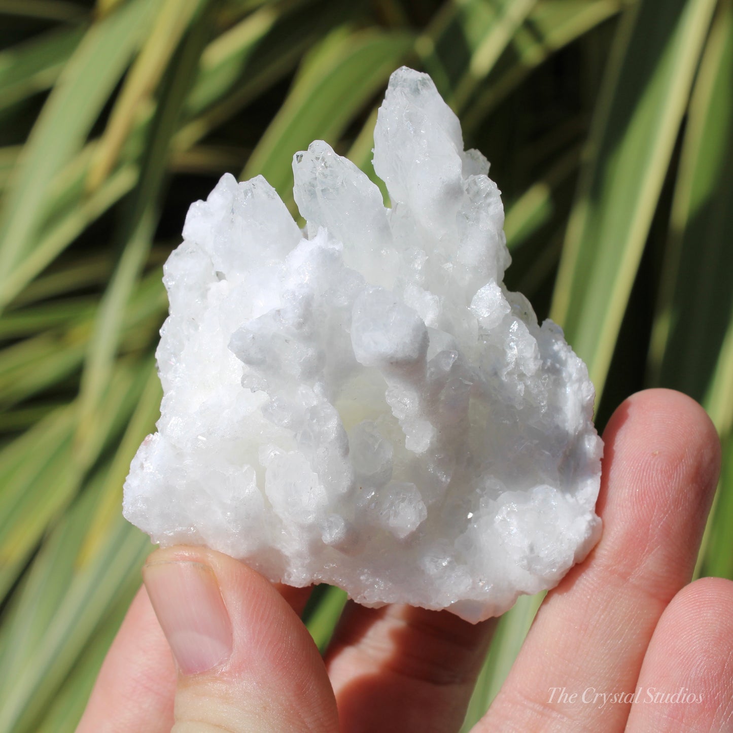 A+ White Aragonite Crystal Cluster