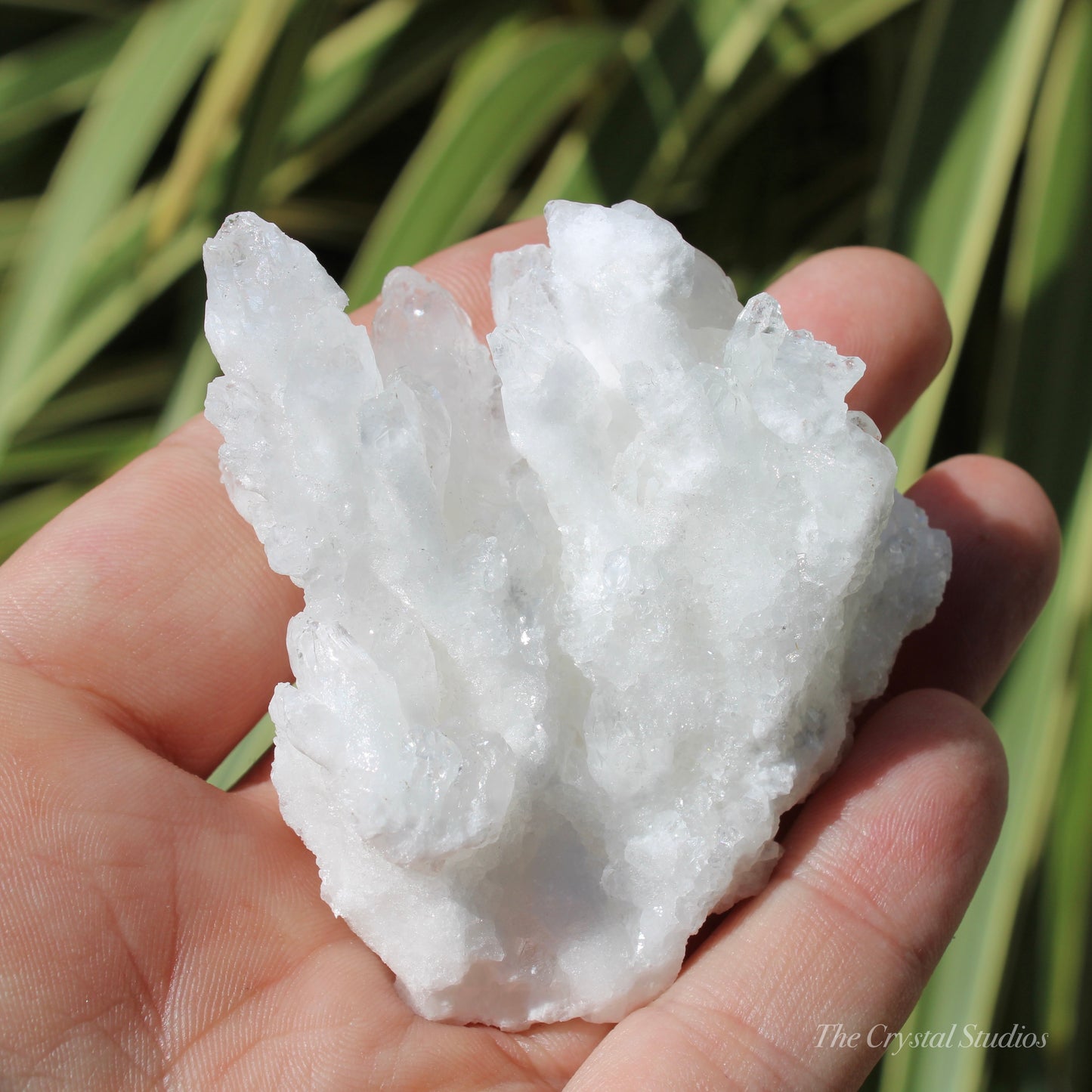 A+ White Aragonite Crystal Cluster