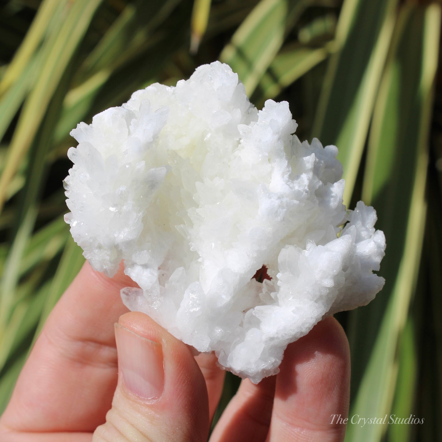 A+ White Aragonite Crystal Cluster