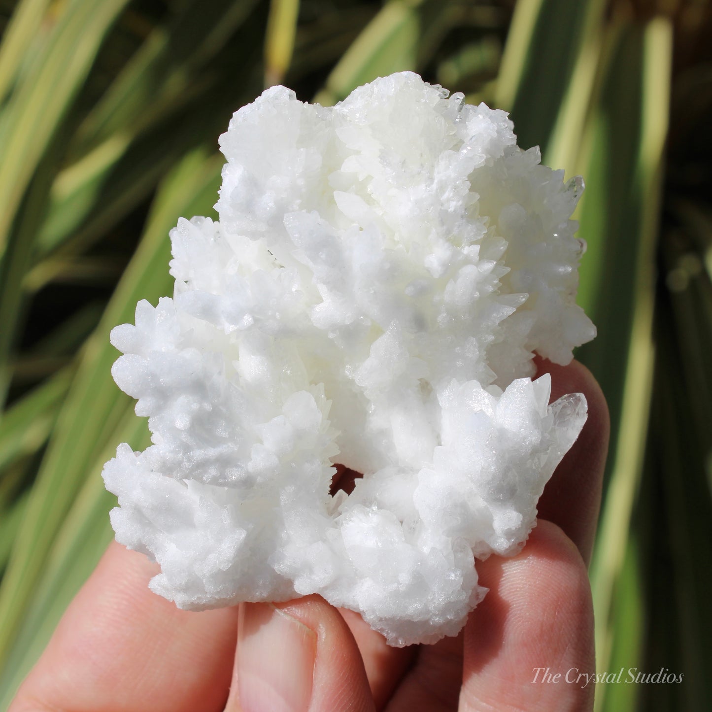 A+ White Aragonite Crystal Cluster