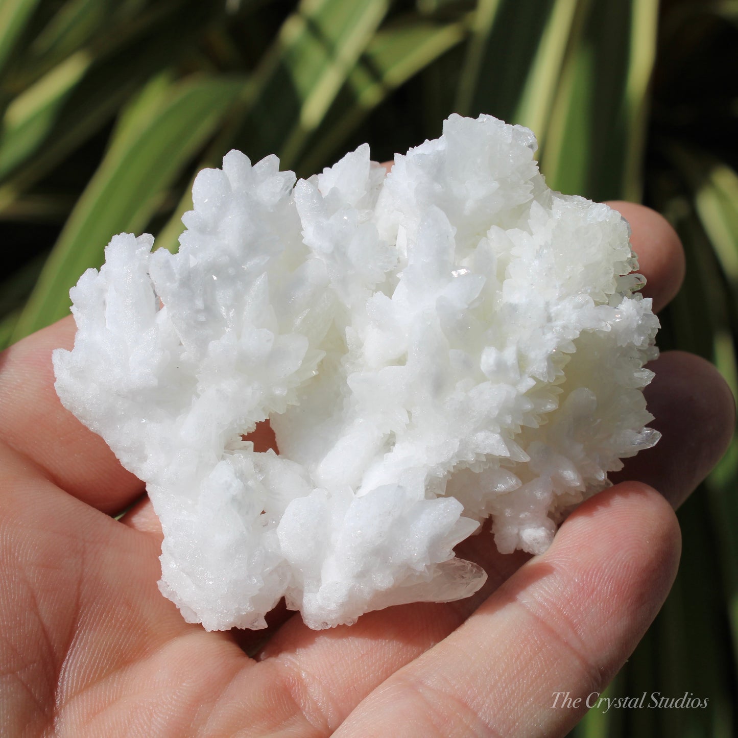 A+ White Aragonite Crystal Cluster