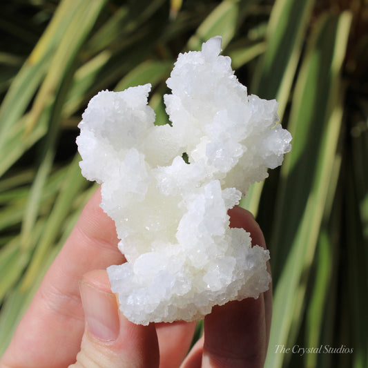 A+ White Aragonite Crystal Cluster