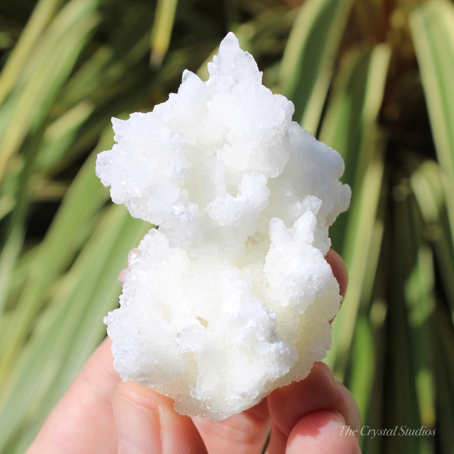 A+ White Aragonite Crystal Cluster